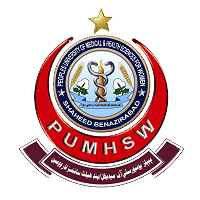 Peoples University of Medical and Health Sciences for Women (PUMHS)
