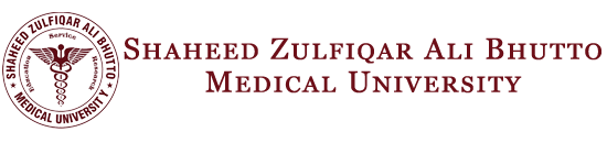 Shaheed Zulfiqar Ali Bhutto Medical University Header at careerszila.com jobs and admission portal