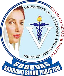 Shaheed Benazir Bhutto University of Veterinary & Animal Sciences  Header at careerszila.com jobs and admission portal
